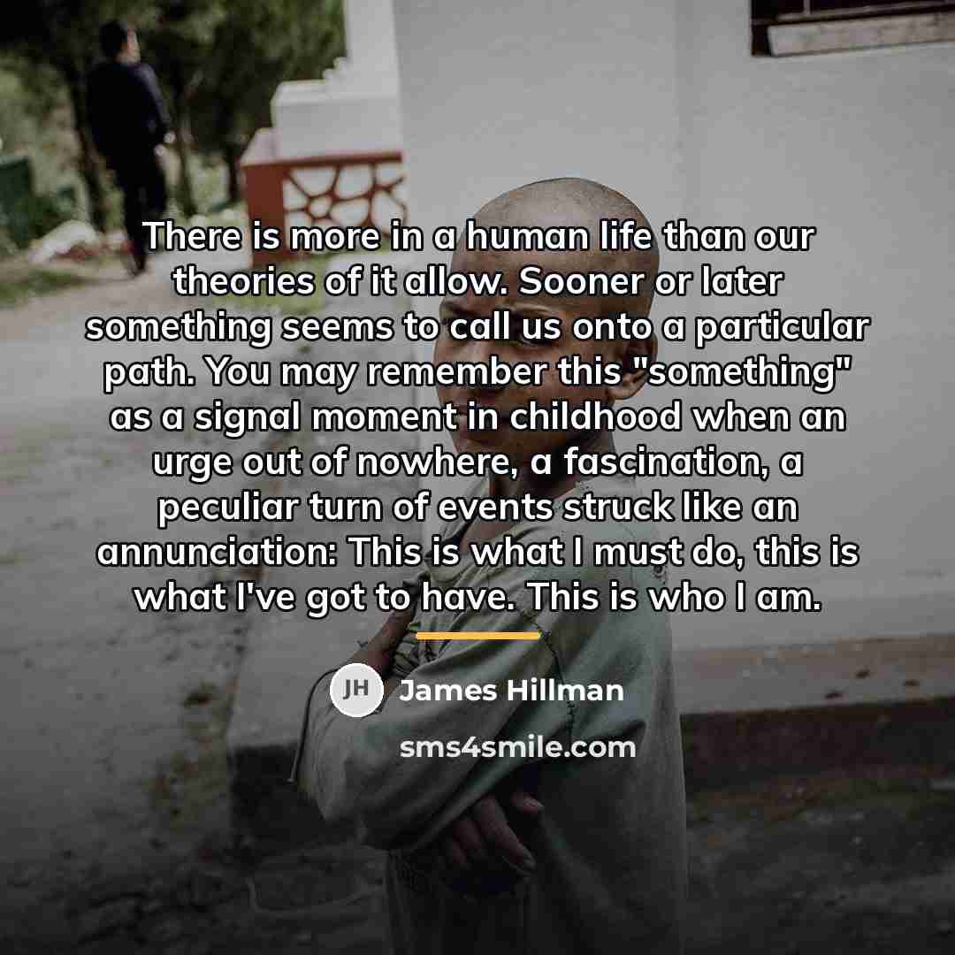 “There is more in a human life than our theories…” quote by James Hillman