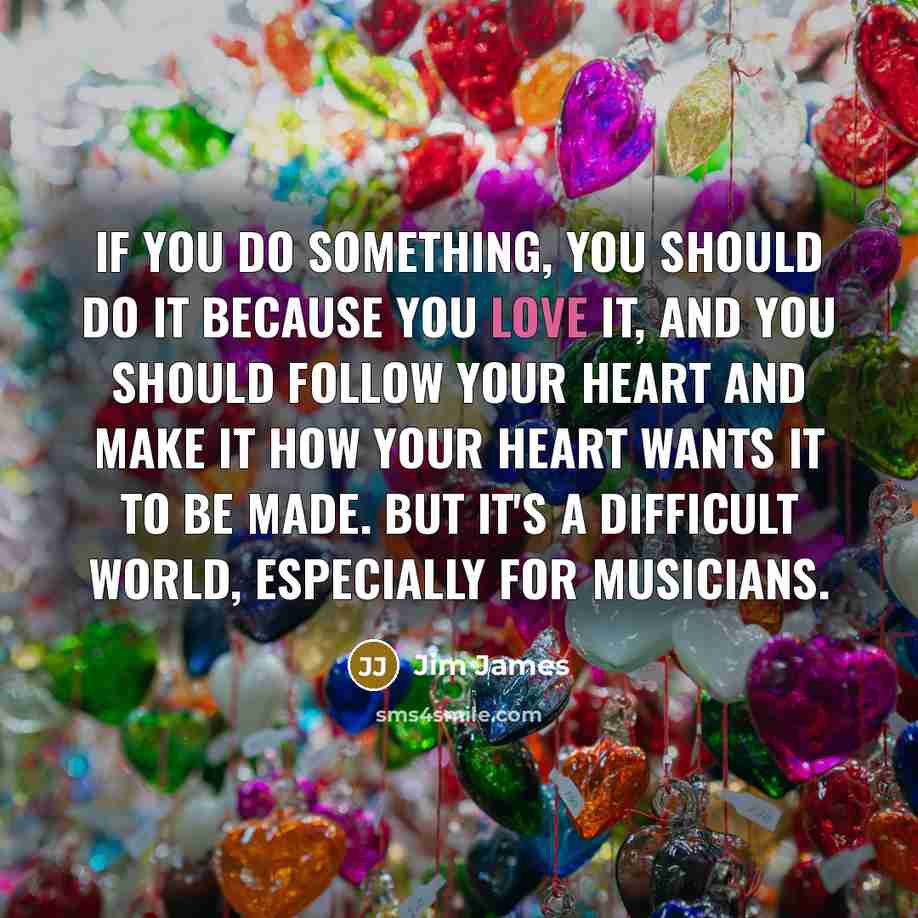 “If you do something, you should do it because you…” quote by Jim James