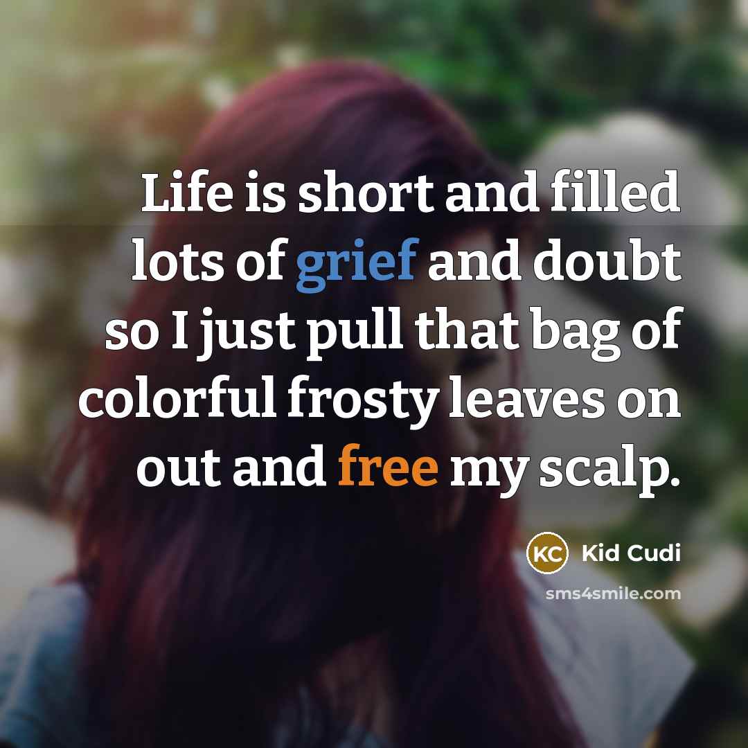 “Life is short and filled lots of grief and doubt so I just pull that bag of colorful frosty leaves on out and free my scalp.” quote by Kid Cudi