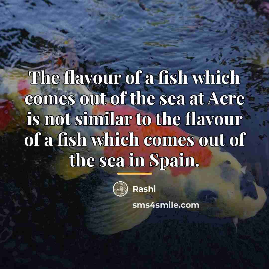 “The flavour of a fish which comes out of the…” quote by Rashi