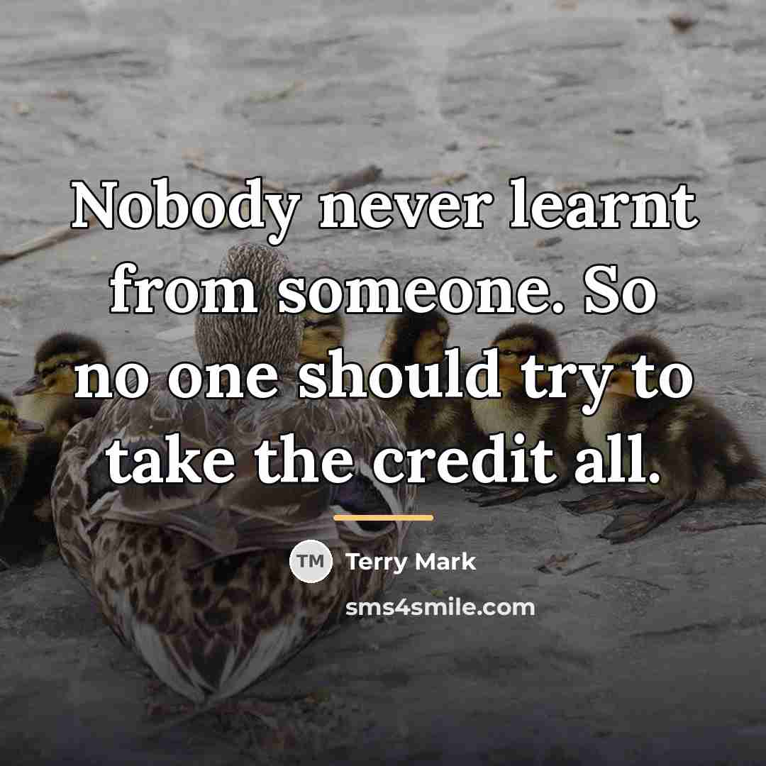 “Nobody never learnt from someone. So no one should try…” quote by Terry Mark