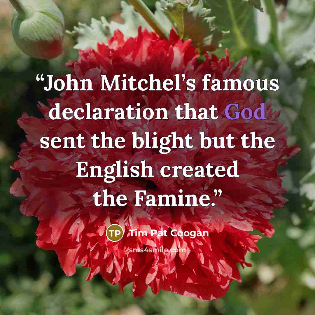 “John Mitchel’s famous declaration that God sent the blight but the English created the Famine.” quote by Tim Pat Coogan
