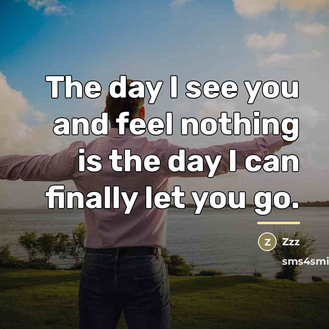 “The day I see you and feel nothing is the…” quote by Zzz