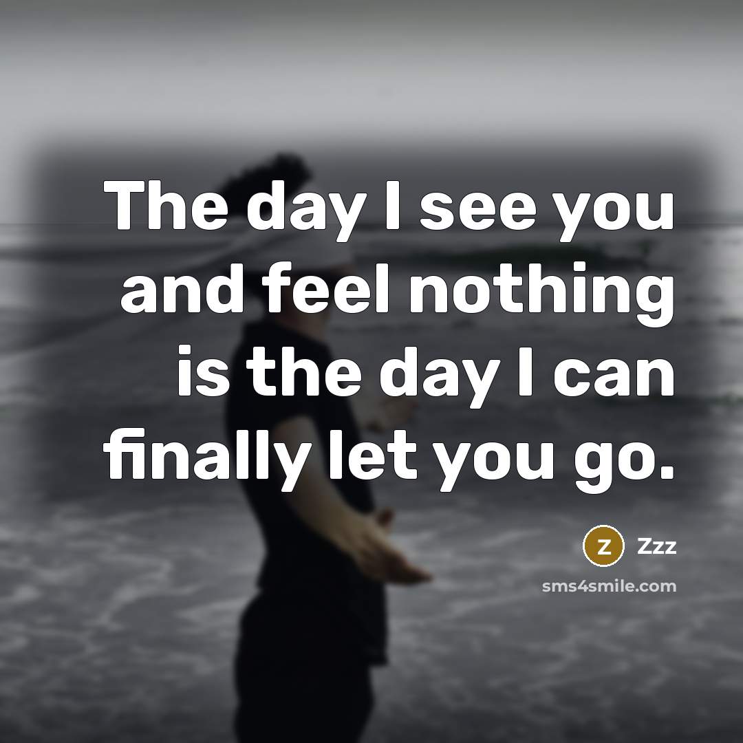 “The day I see you and feel nothing is the day I can finally let you go.” quote by Zzz
