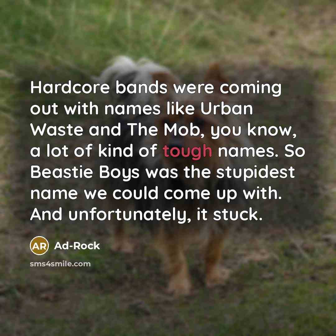 “Hardcore bands were coming out with names like Urban Waste…” quote by Ad-Rock