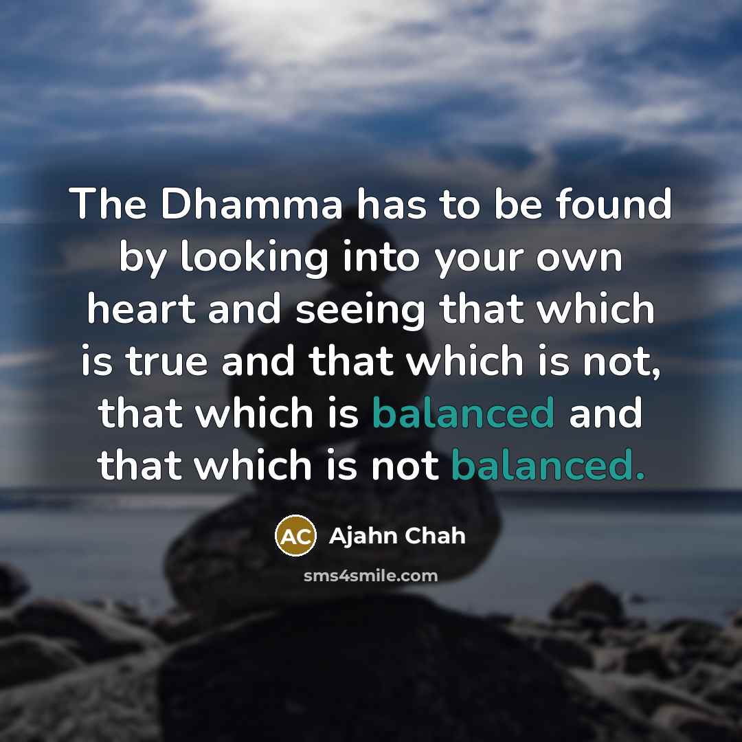 “The Dhamma has to be found by looking into your…” quote by Ajahn Chah