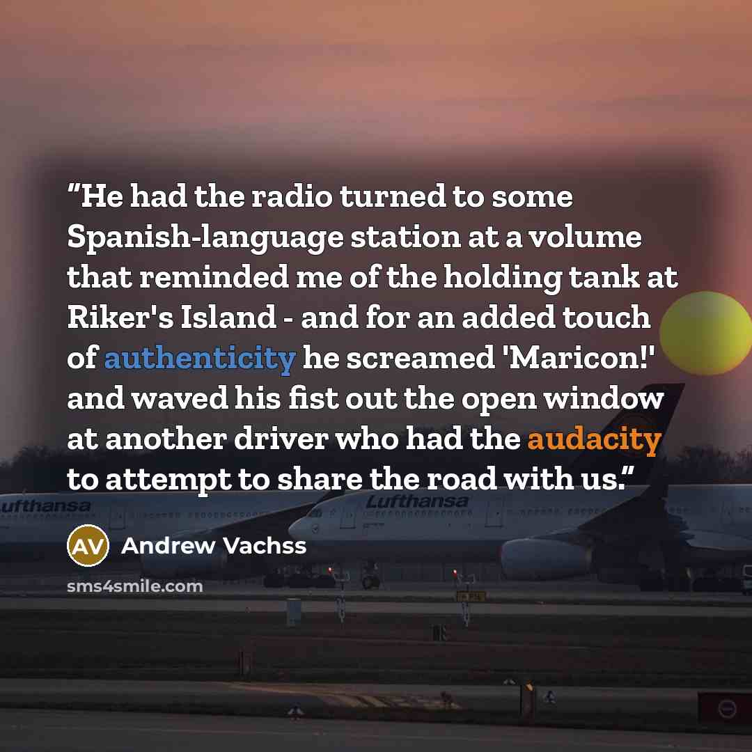 “He had the radio turned to some Spanish-language station at a volume that reminded me of the holding tank at Riker's Island - and for an added touch of authenticity he screamed 'Maricon!' and waved his fist out the open window at another driver who had the audacity to attempt to share the road…” quote by Andrew Vachss