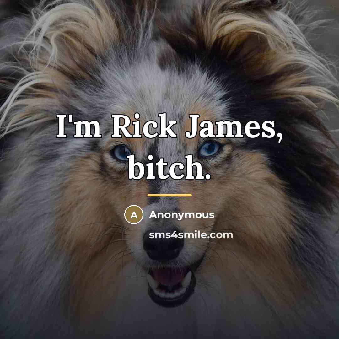 “I'm Rick James, bitch.…” quote by Anonymous