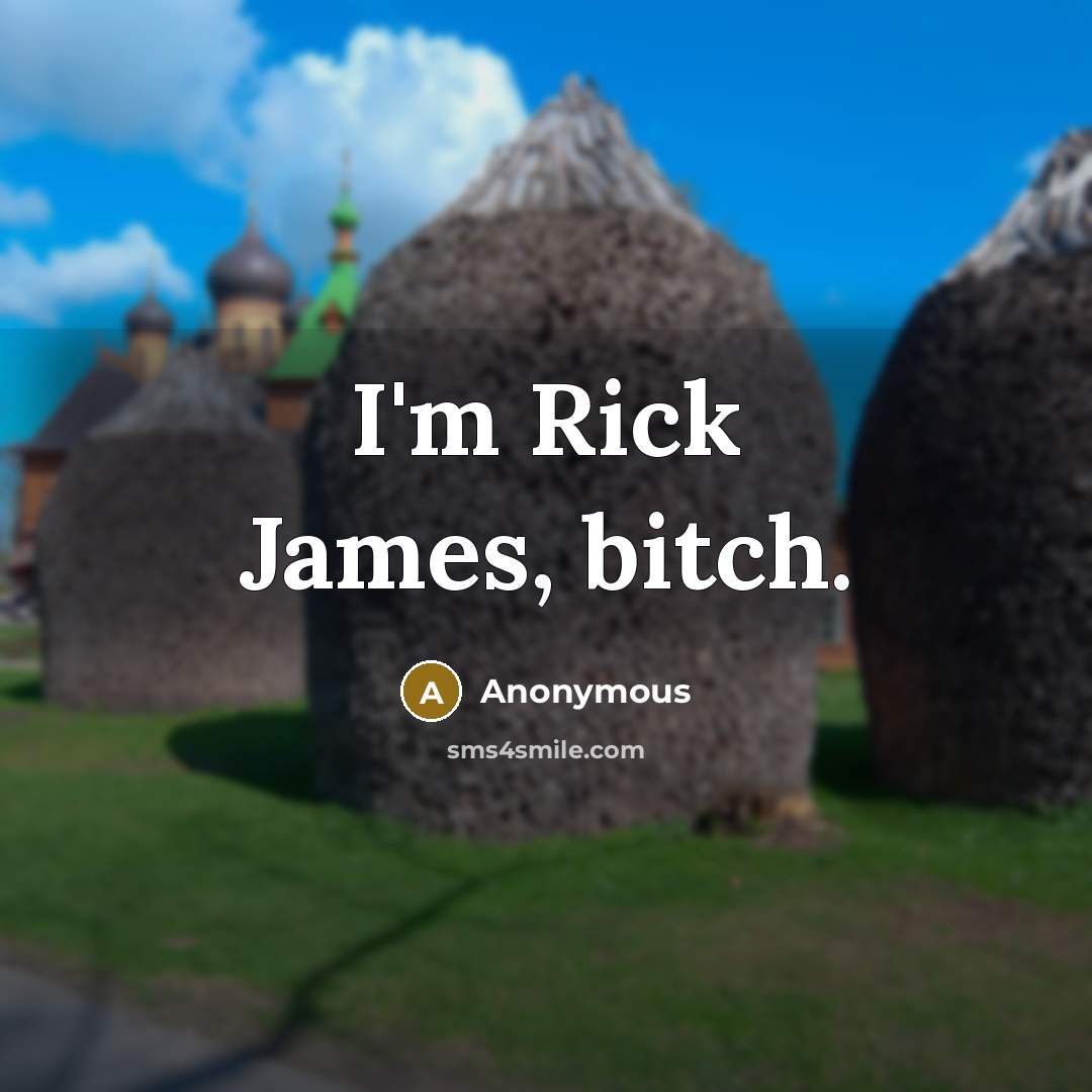 “I'm Rick James, bitch.” quote by Anonymous