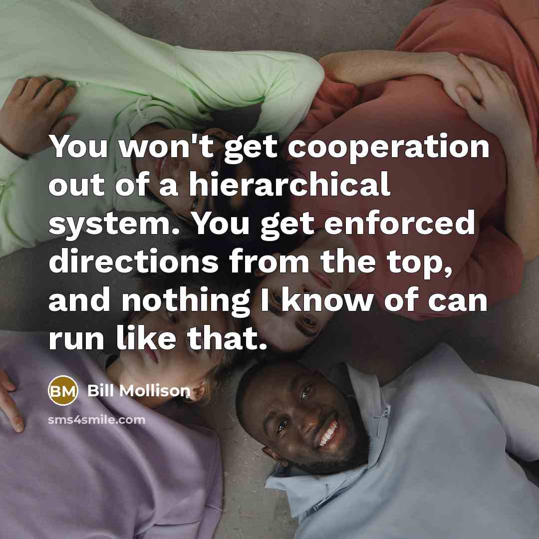 “You won't get cooperation out of a hierarchical system. You…” quote by Bill Mollison