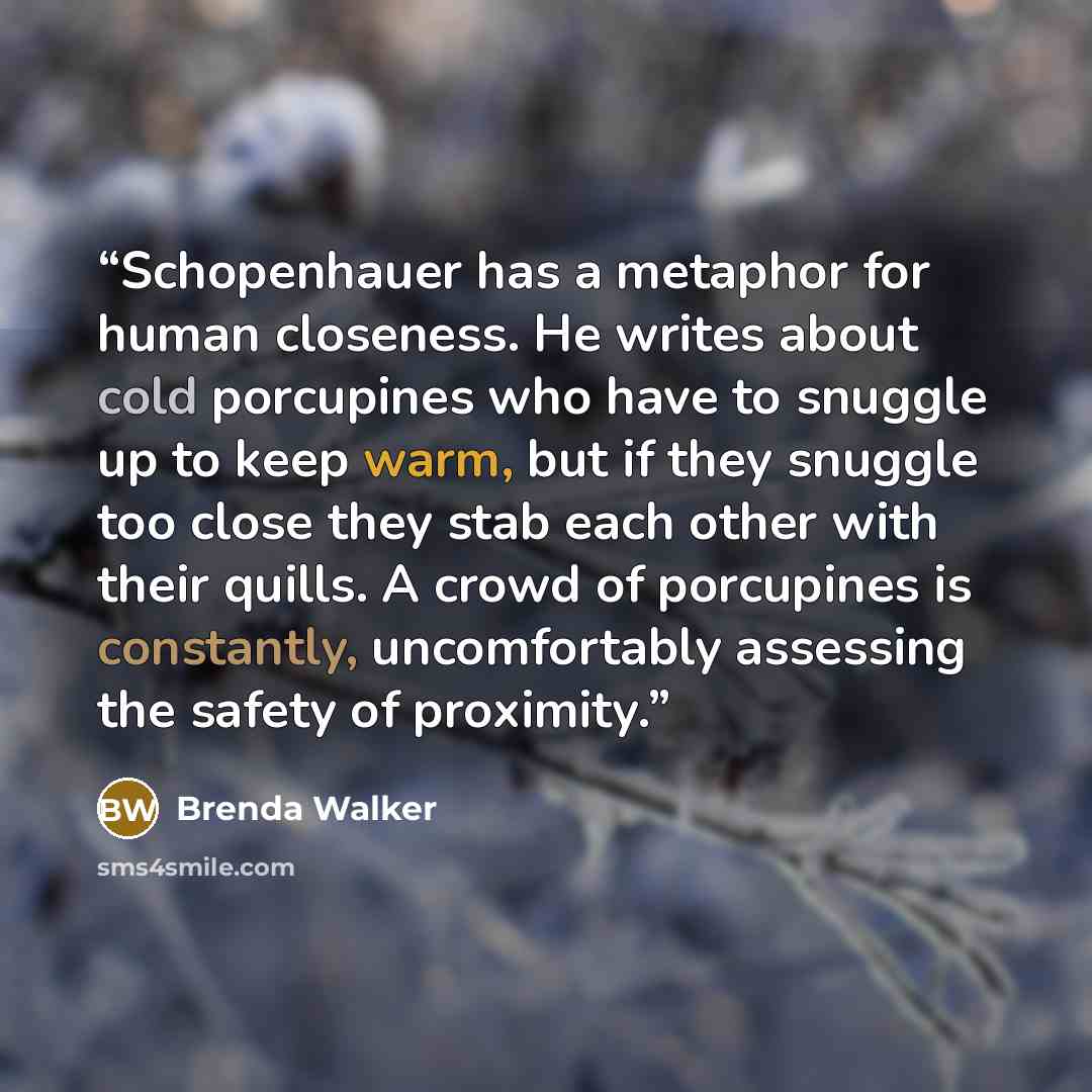 “Schopenhauer has a metaphor for human closeness. He writes about cold porcupines who have to snuggle up to keep warm, but if they snuggle too close they stab each other with their quills. A crowd of porcupines is constantly, uncomfortably assessing the safety of proximity.” quote by Brenda Walker