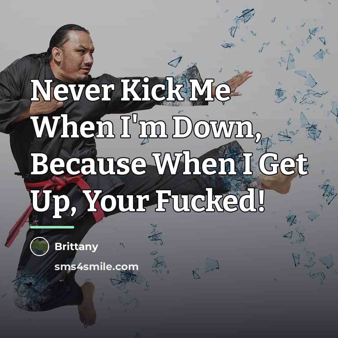“Never Kick Me When I'm Down, Because When I Get…” quote by Brittany