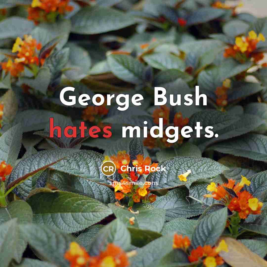 “George Bush hates midgets.” quote by Chris Rock