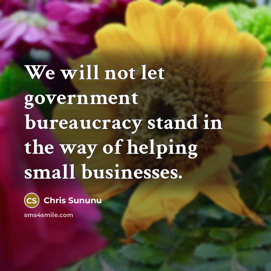 “We will not let government bureaucracy stand in the way…” quote by Chris Sununu