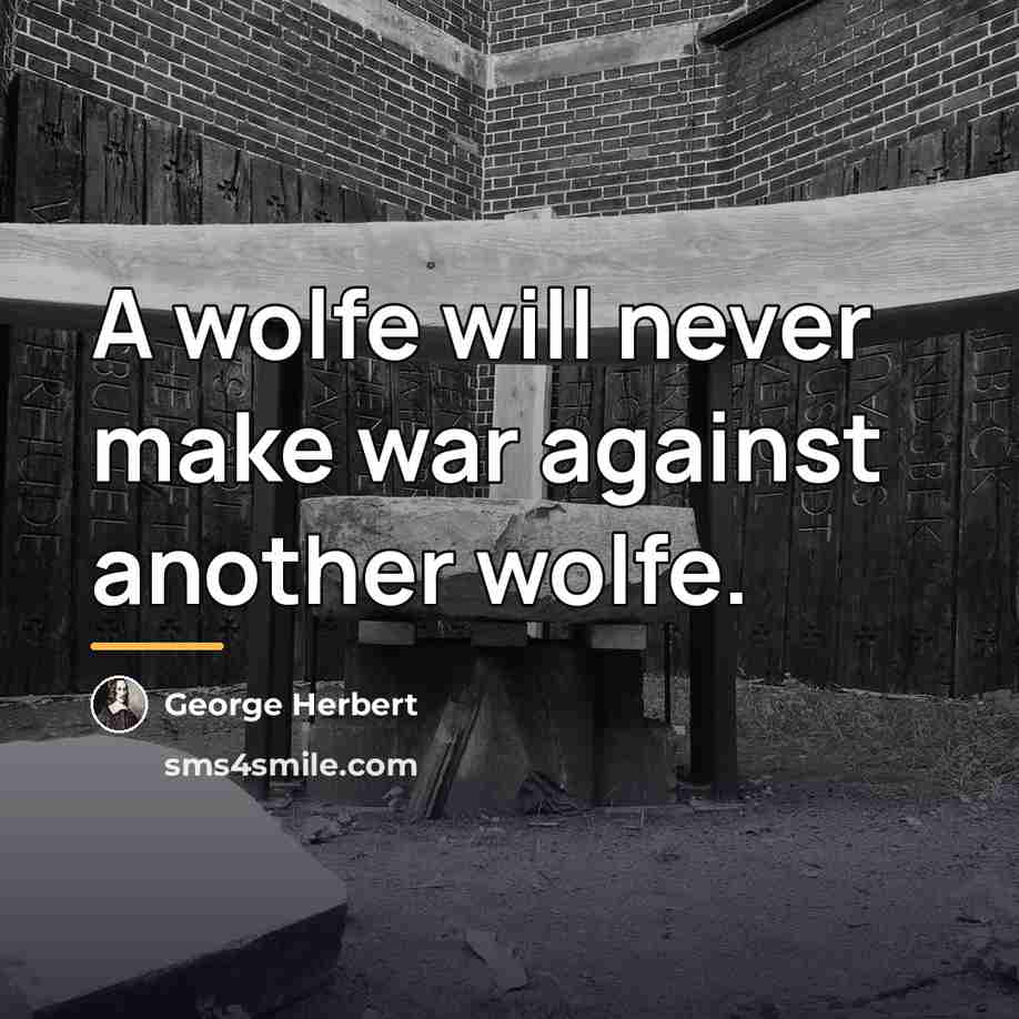 “A wolfe will never make war against another wolfe.…” quote by George Herbert