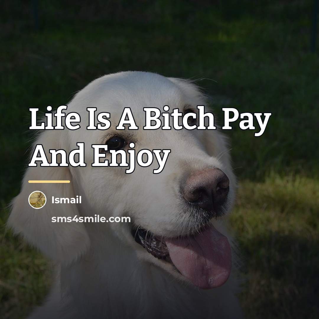 “Life Is A Bitch Pay And Enjoy…” quote by Ismail