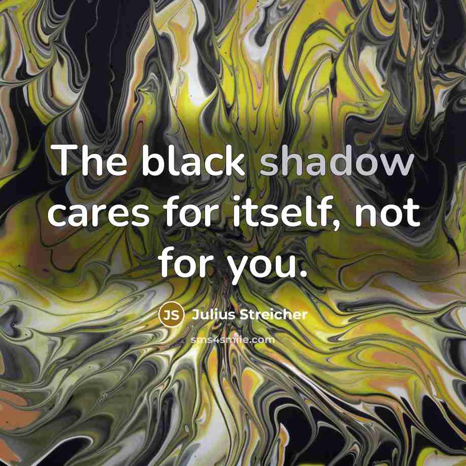 “The black shadow cares for itself, not for you.…” quote by Julius Streicher