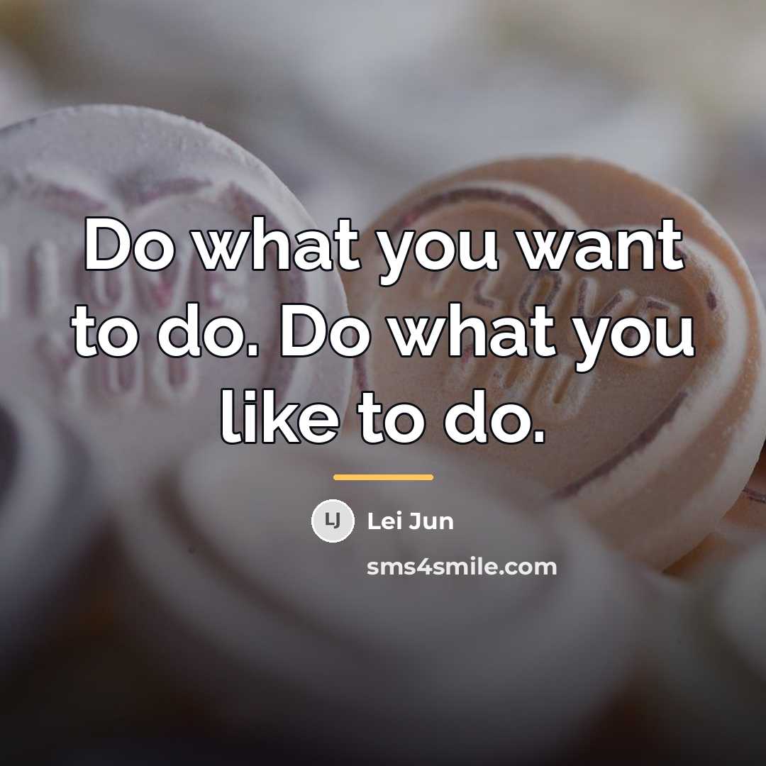 “Do what you want to do. Do what you like…” quote by Lei Jun