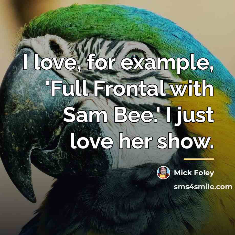 “I love, for example, 'Full Frontal with Sam Bee.' I…” quote by Mick Foley