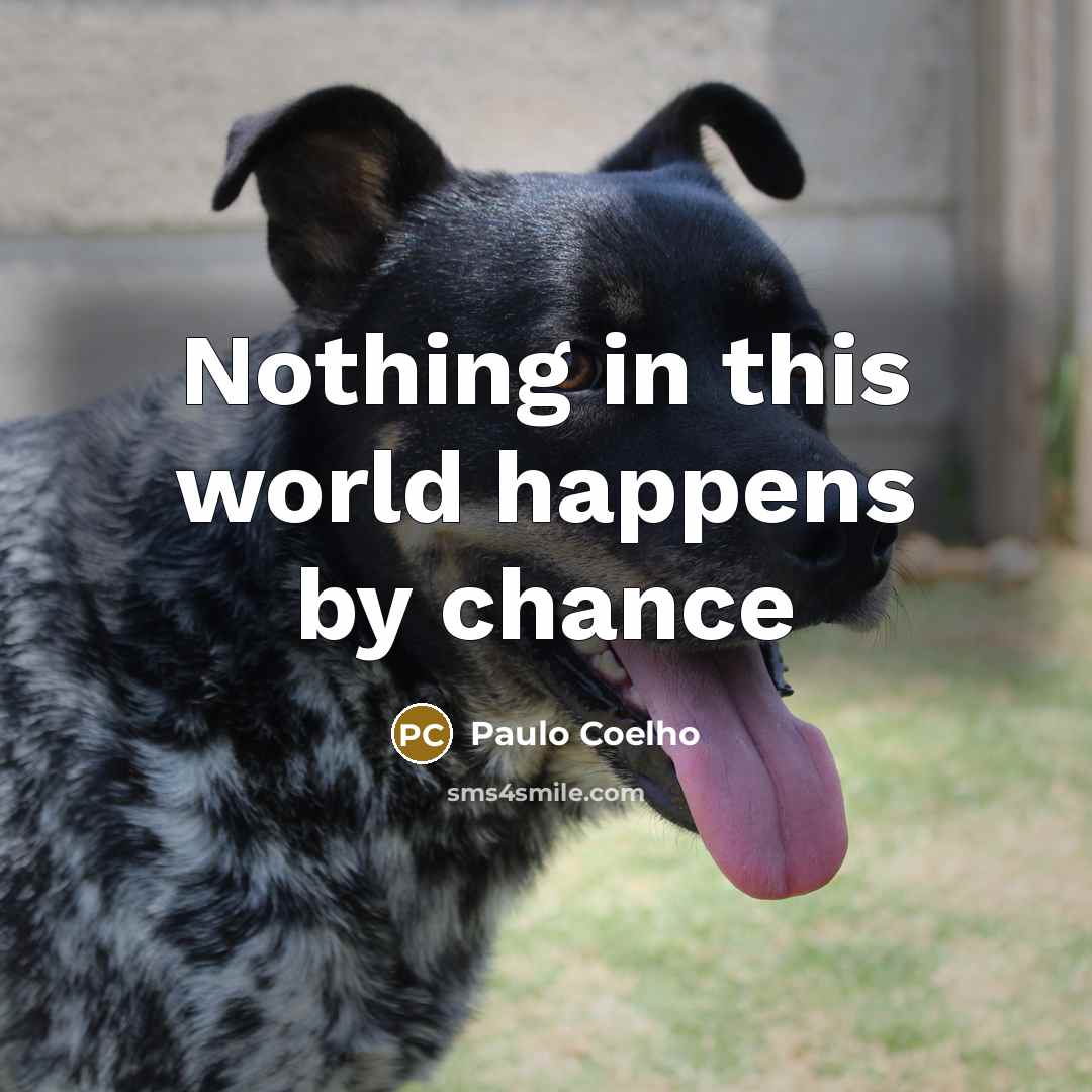“Nothing in this world happens by chance…” quote by Paulo Coelho