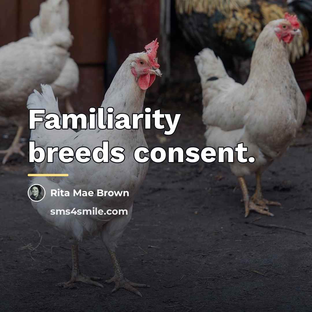 “Familiarity breeds consent.…” quote by Rita Mae Brown