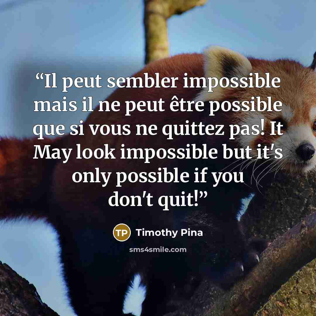 “Il peut sembler impossible mais il ne peut être possible que si vous ne quittez pas! It May look impossible but it's only possible if you don't quit!” quote by Timothy Pina