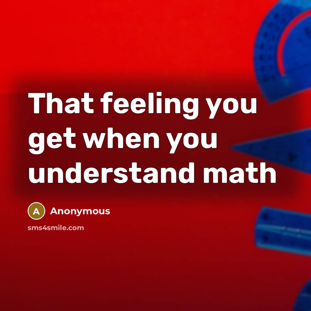 “That feeling you get when you understand math” quote by Anonymous