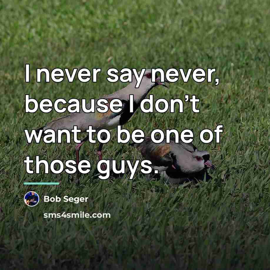 “I never say never, because I don't want to be…” quote by Bob Seger