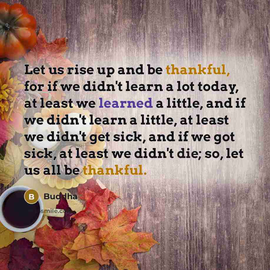 “Let us rise up and be thankful, for if we…” quote by Buddha