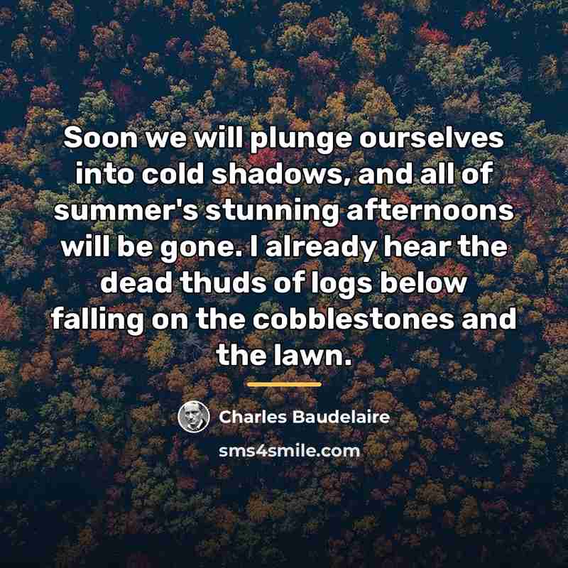 “Soon we will plunge ourselves into cold shadows, and all…” quote by Charles Baudelaire