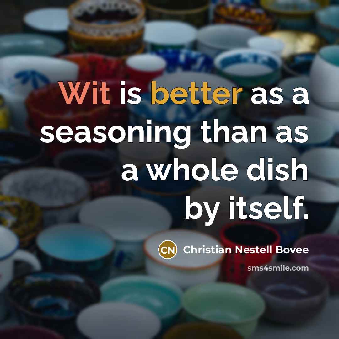 “Wit is better as a seasoning than as a whole dish by itself.” quote by Christian Nestell Bovee