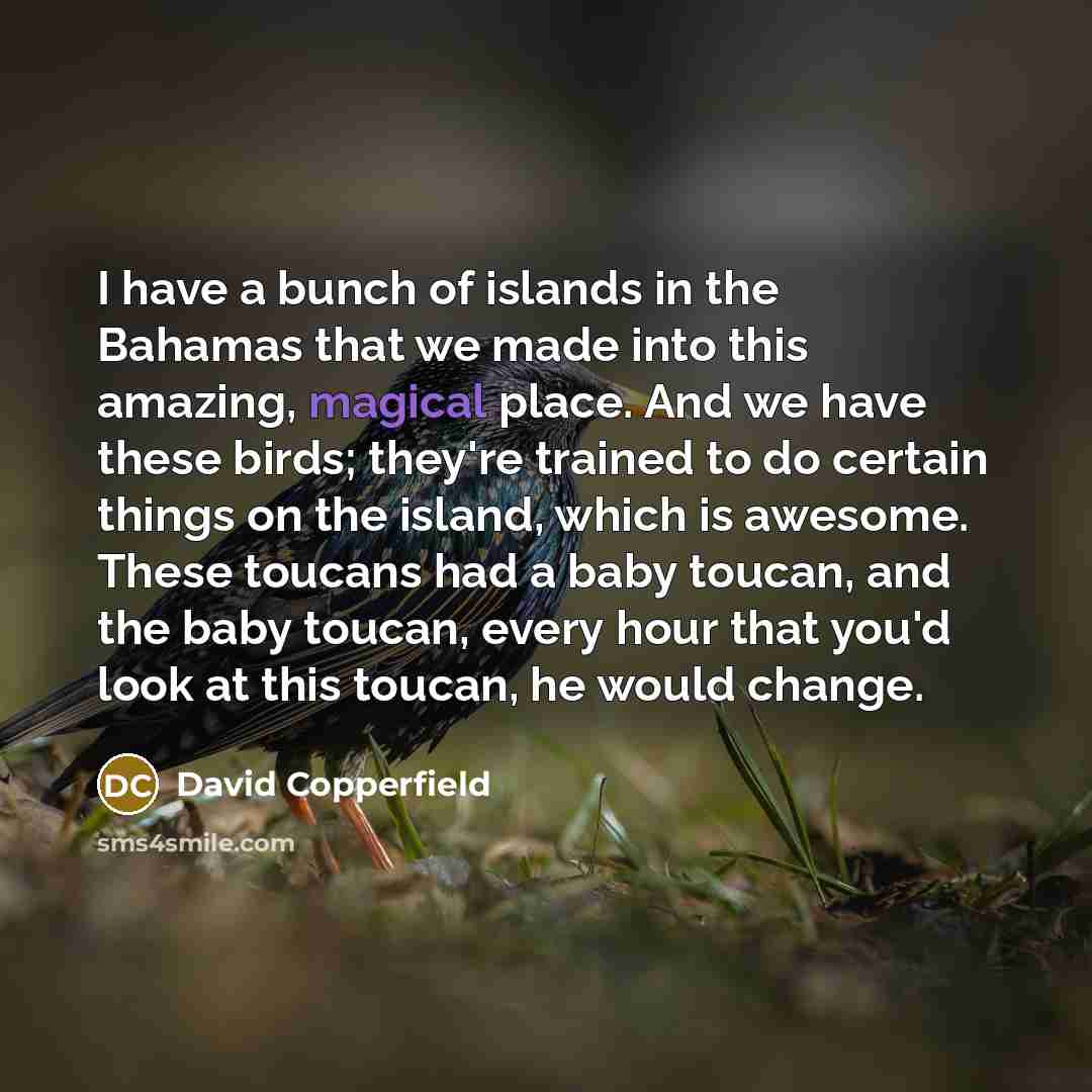 “I have a bunch of islands in the Bahamas that…” quote by David Copperfield