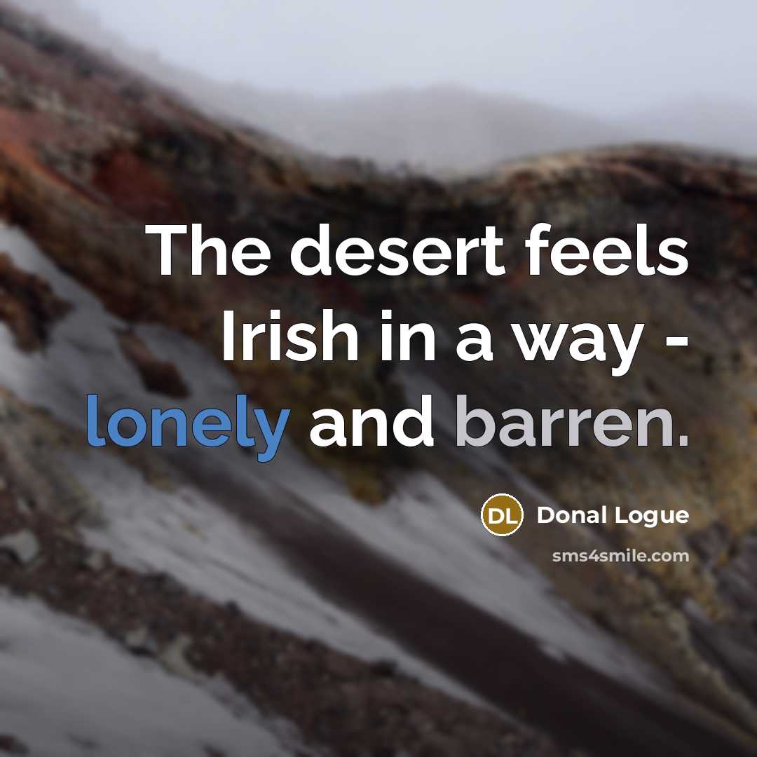 “The desert feels Irish in a way - lonely and…” quote by Donal Logue