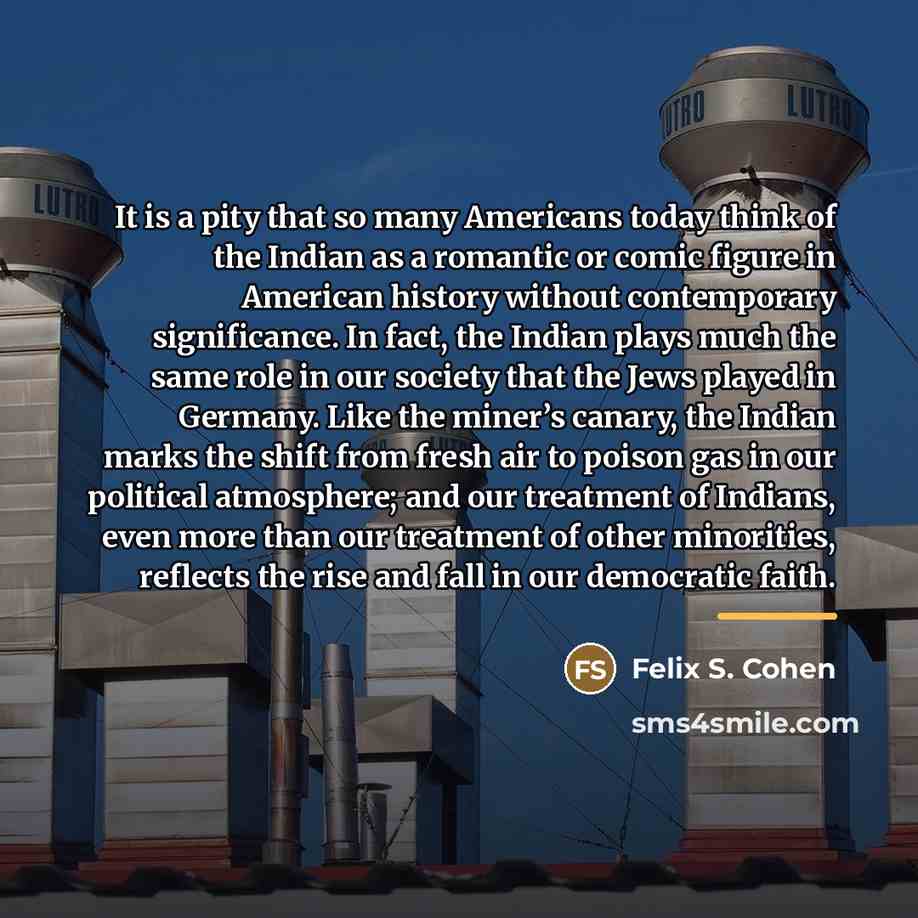 “It is a pity that so many Americans today think…” quote by Felix S. Cohen