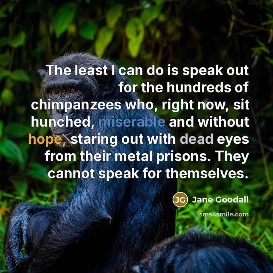“The least I can do is speak out for the…” quote by Jane Goodall