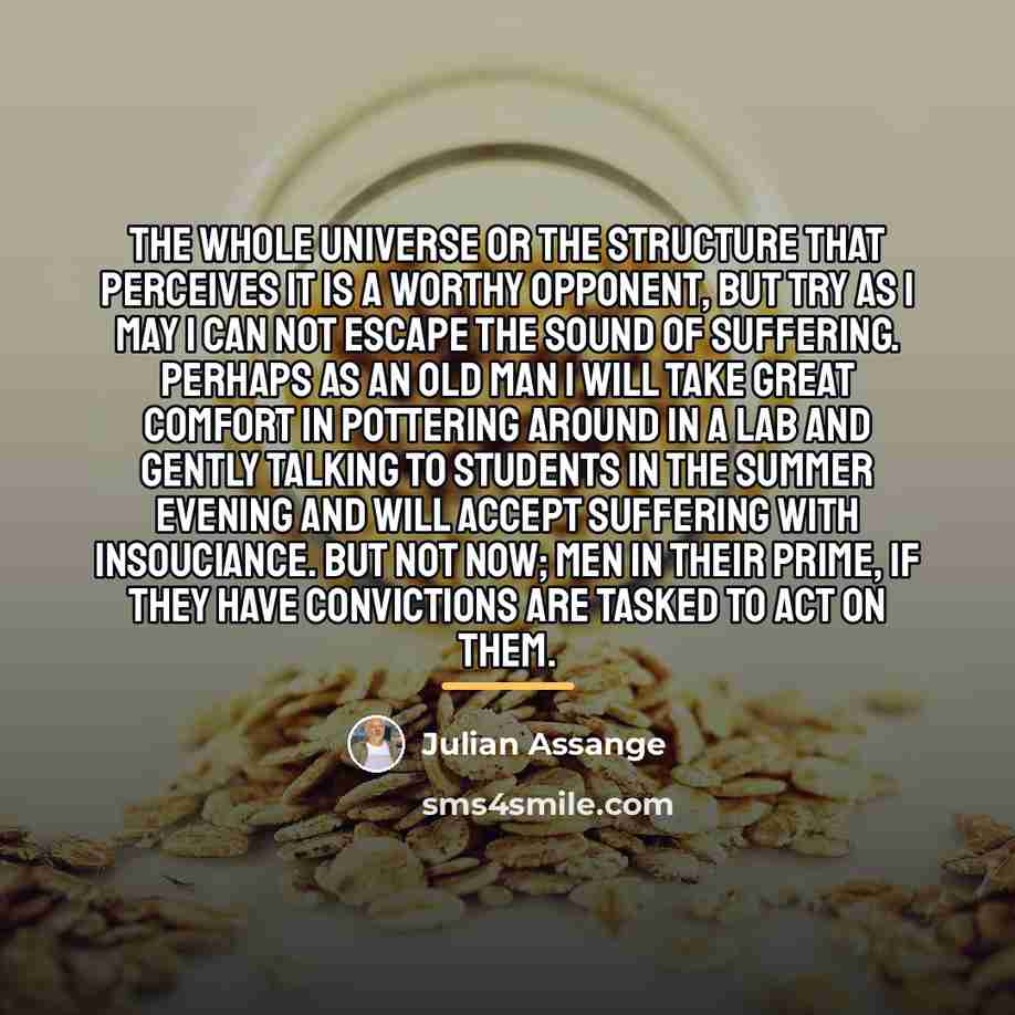 “The whole universe or the structure that perceives it is…” quote by Julian Assange