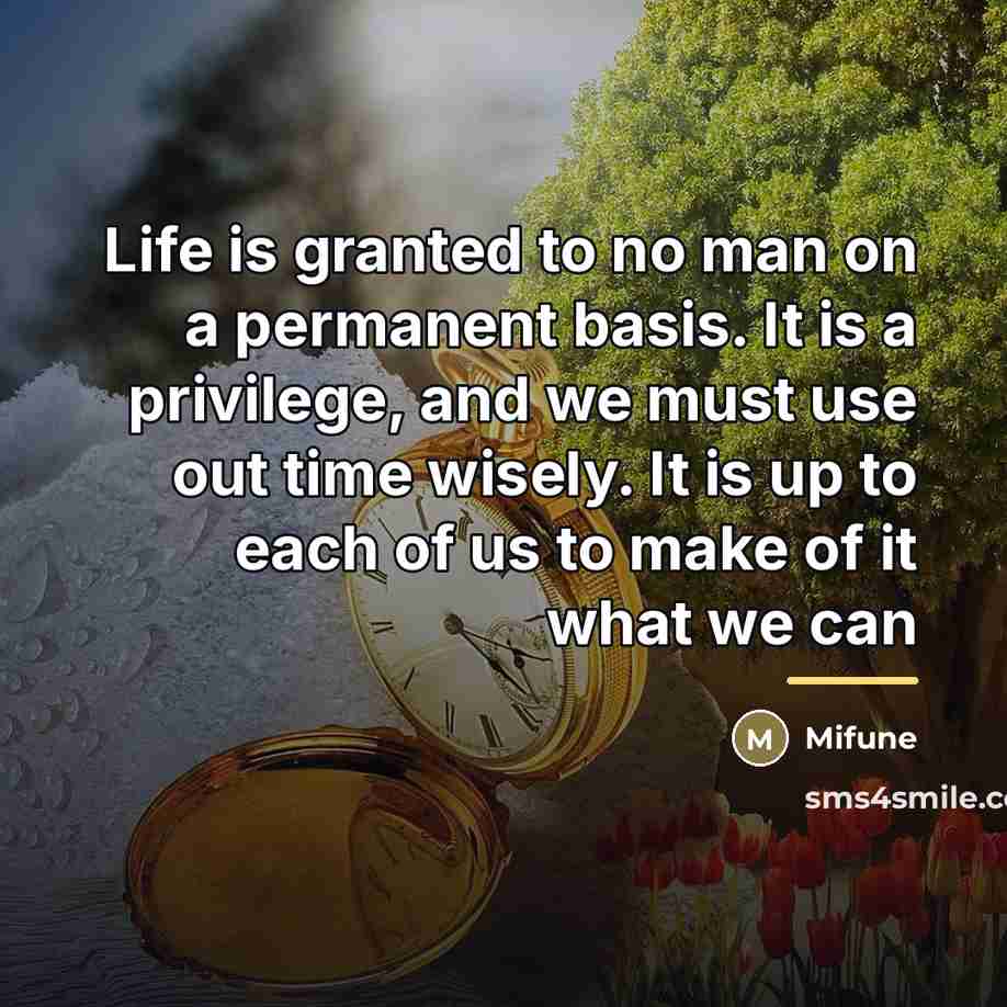 “Life is granted to no man on a permanent basis.…” quote by Mifune