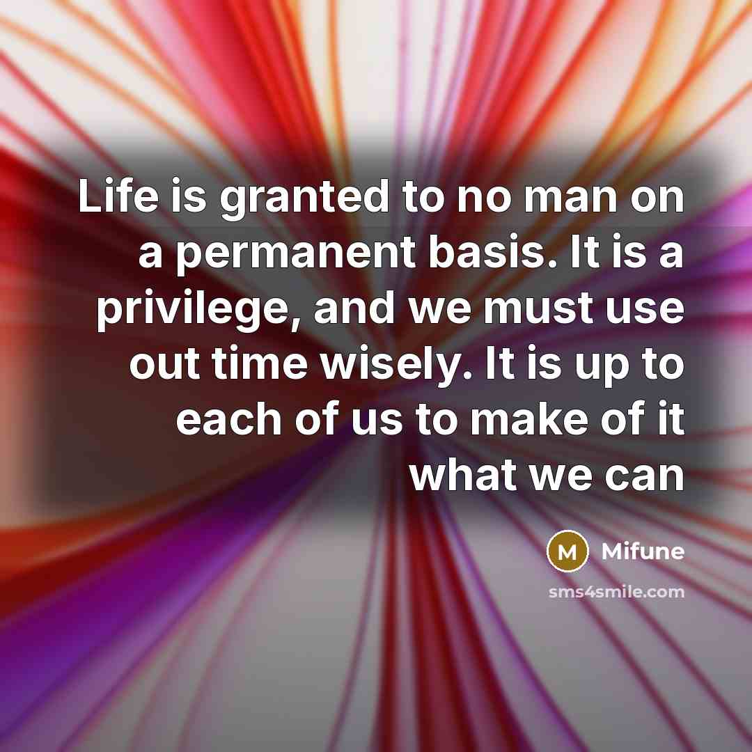 “Life is granted to no man on a permanent basis. It is a privilege, and we must use out time wisely. It is up to each of us to make of it what we can” quote by Mifune