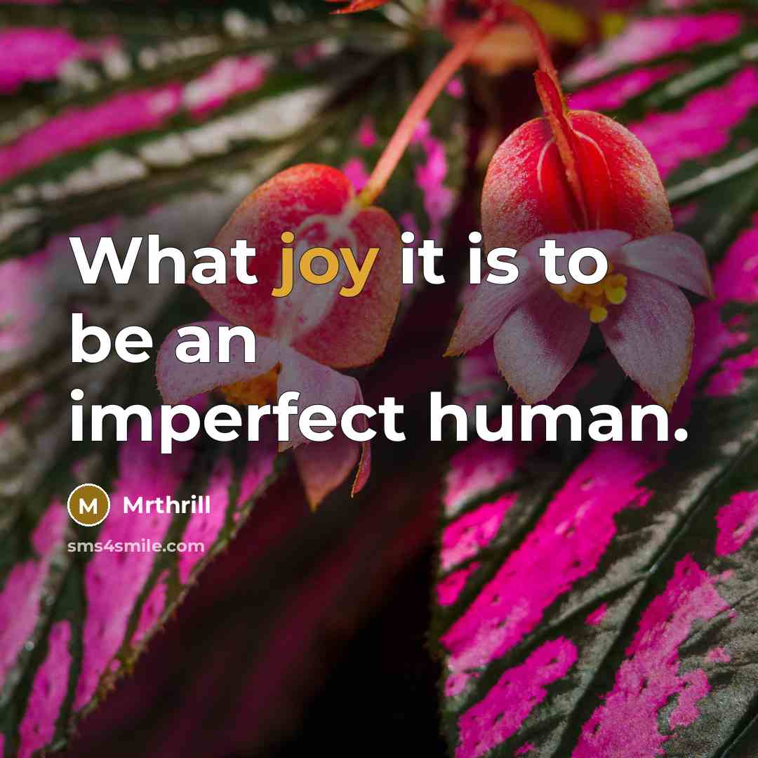 “What joy it is to be an imperfect human.…” quote by Mrthrill