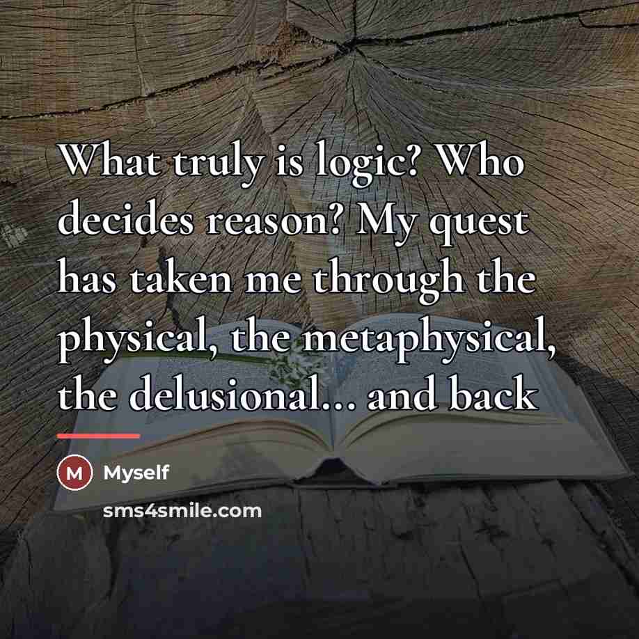 “What truly is logic? Who decides reason? My quest has…” quote by Myself