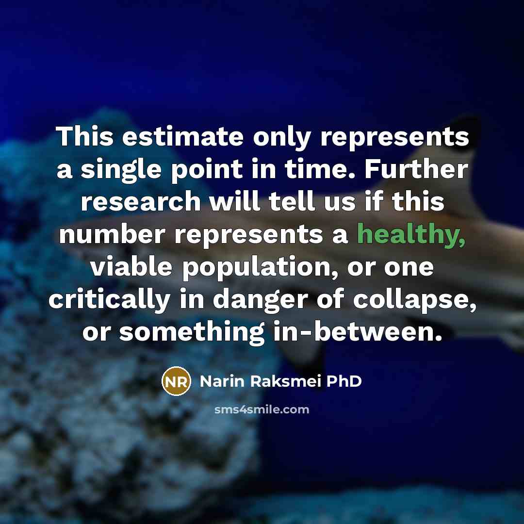 “This estimate only represents a single point in time. Further…” quote by Narin Raksmei PhD