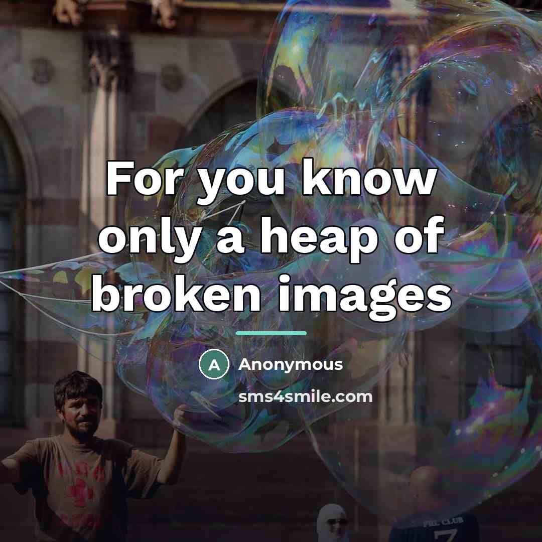 “For you know only a heap of broken images…” quote by Anonymous