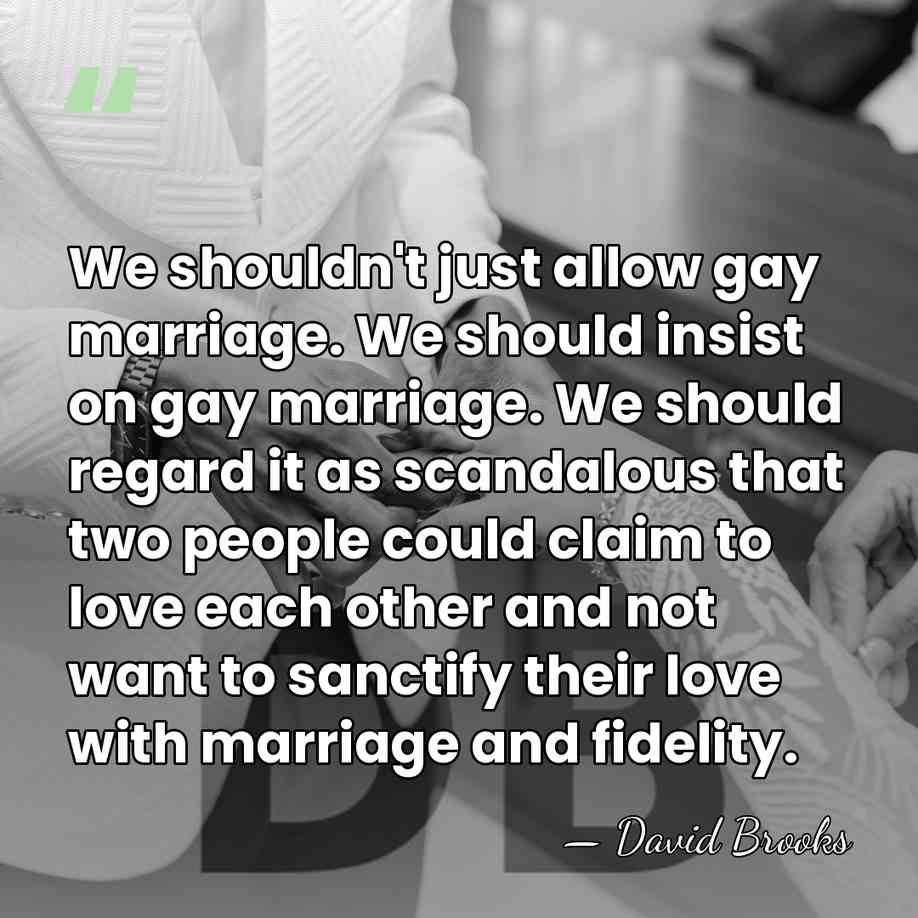 We shouldn't just allow gay marriage. We should insist on gay marriage.&hellip; - David Brooks