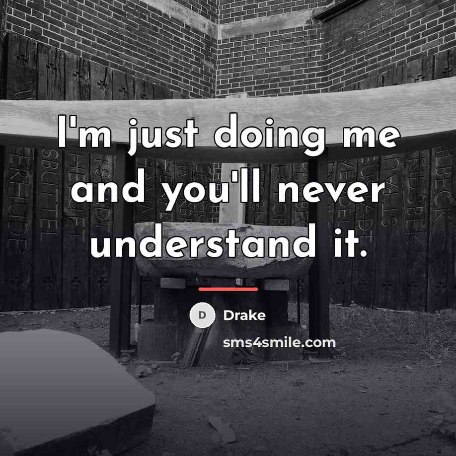 “I'm just doing me and you'll never understand it.…” quote by Drake