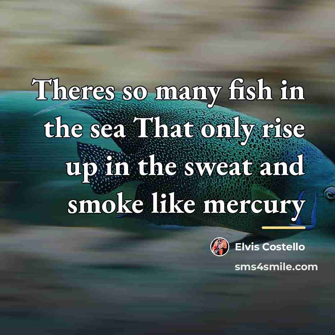 “Theres so many fish in the sea That only rise…” quote by Elvis Costello