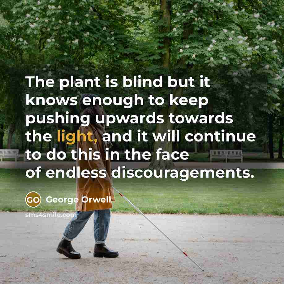 “The plant is blind but it knows enough to keep…” quote by George Orwell