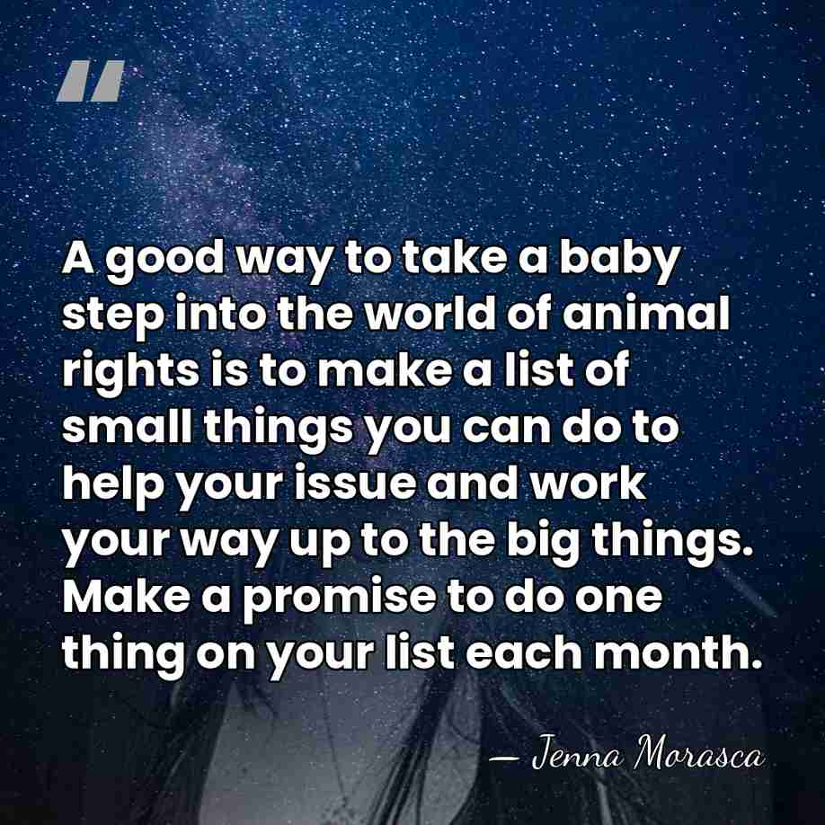 A good way to take a baby step into the world of&hellip; - Jenna Morasca