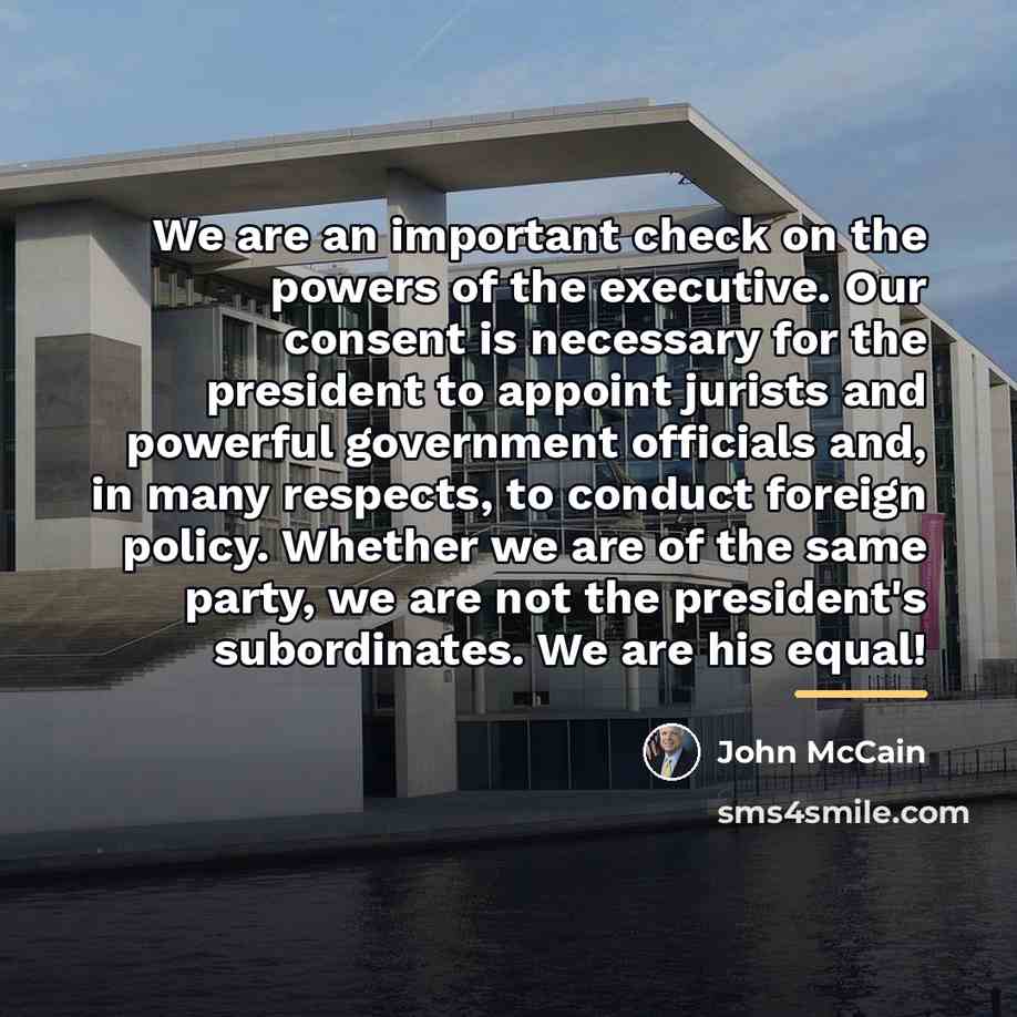 “We are an important check on the powers of the…” quote by John McCain