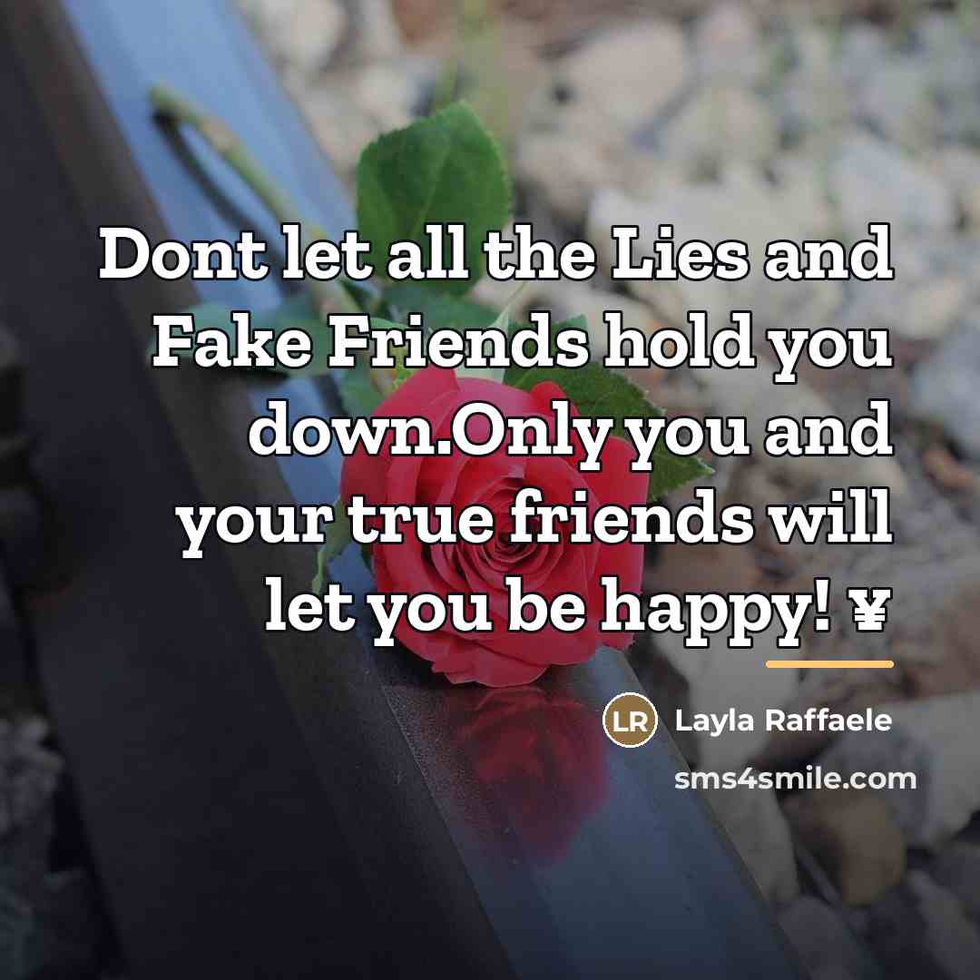 “Dont let all the Lies and Fake Friends hold you…” quote by Layla Raffaele