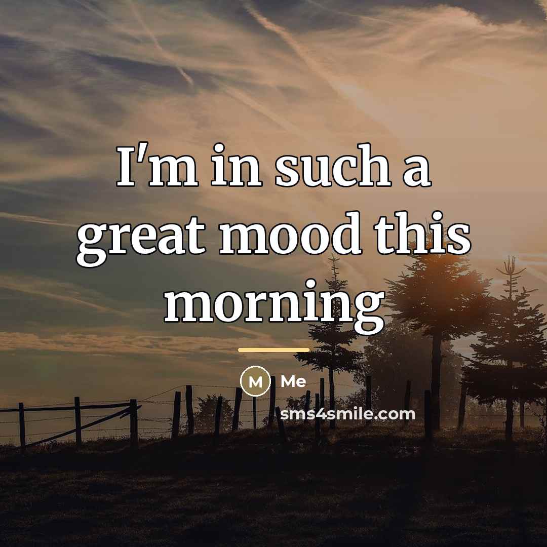 “I'm in such a great mood this morning…” quote by Me